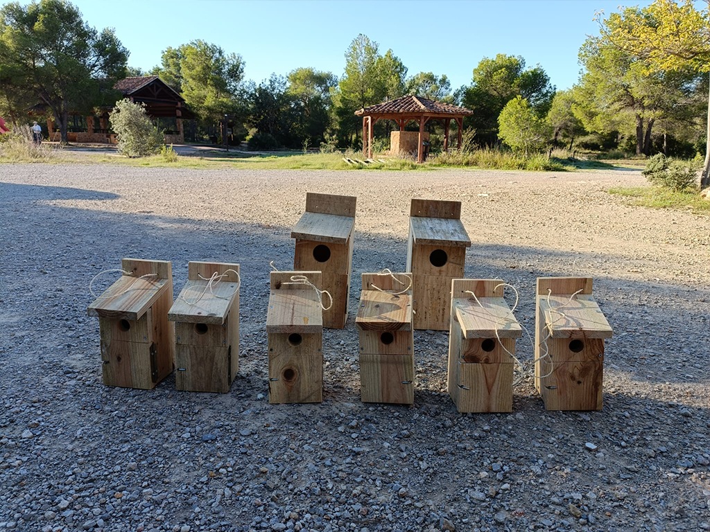 La Manguilla acoge una activdad medioambiental para favorecer las aves